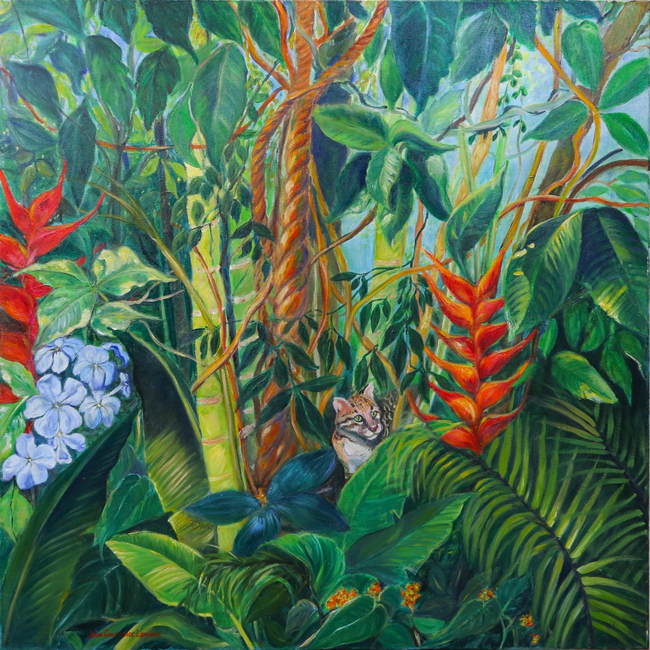 Tropical Spell