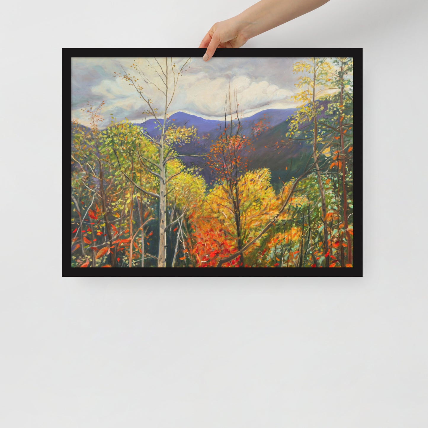 Fall in Adirondacks 3 - Framed Matte Paper Poster