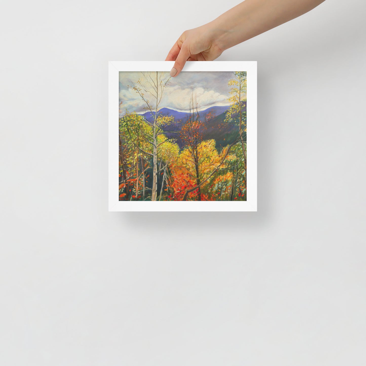 Fall in Adirondacks 3 - Framed Matte Paper Poster